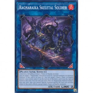 Soldato Scheletrico Ragnaraika