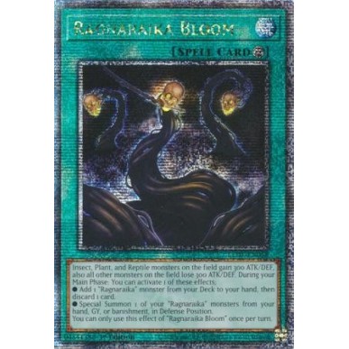 Fioritura Ragnaraika (V.2 - Quarter...