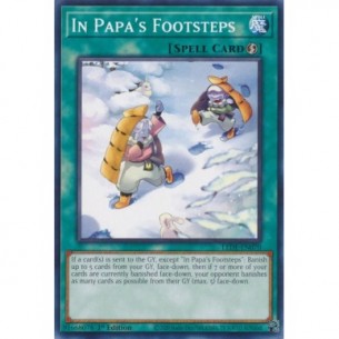 Sulle Orme del Papà