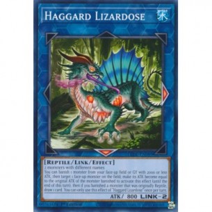 Haggard Lizardose