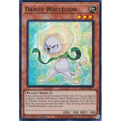 Dandy Whitelion
