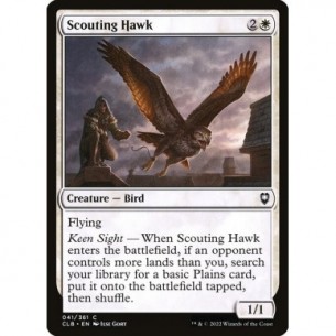 Scouting Hawk