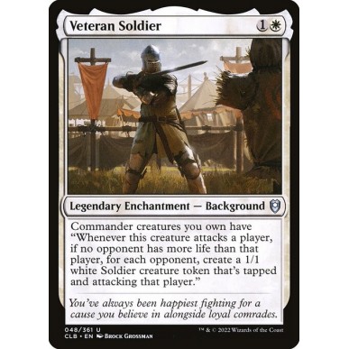 Soldato Veterano