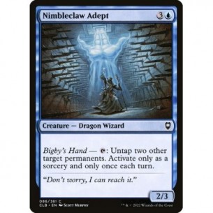 Lestartiglio Esperto