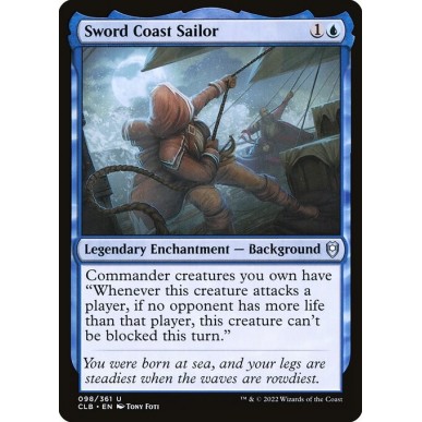 Sword Coast Sailor