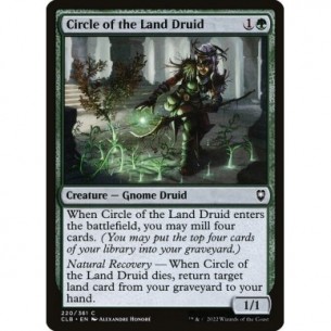Druida del Circolo della Terra