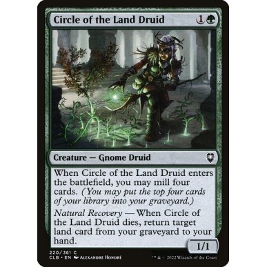 Druida del Circolo della Terra