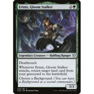 Erinis, Gloom Stalker
