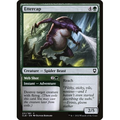Ettercap // Web Shot