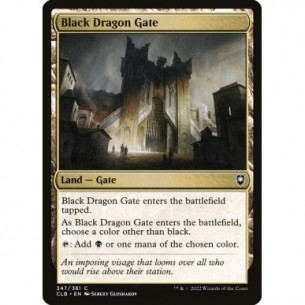 Porta del Drago Nero