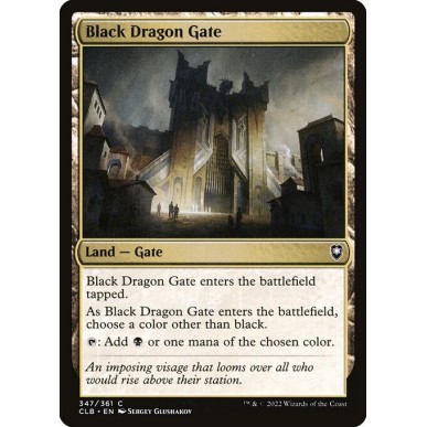 Porta del Drago Nero