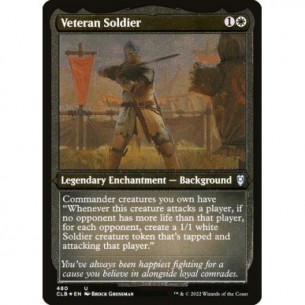 Veteran Soldier