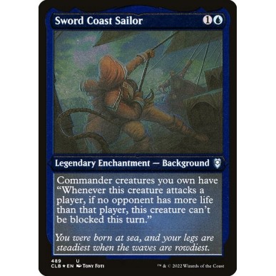 Sword Coast Sailor