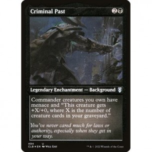 Criminal Past
