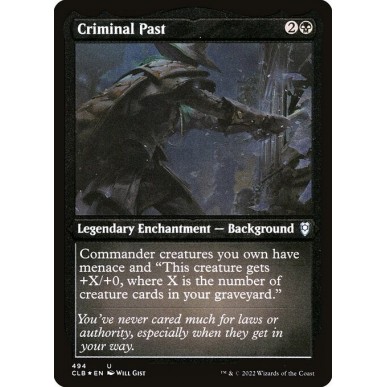 Criminal Past