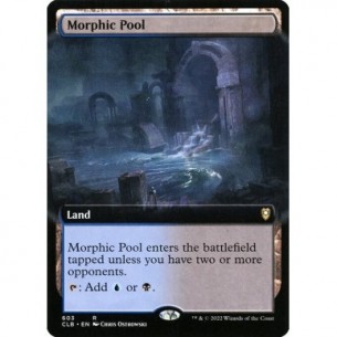 Morphic Pool