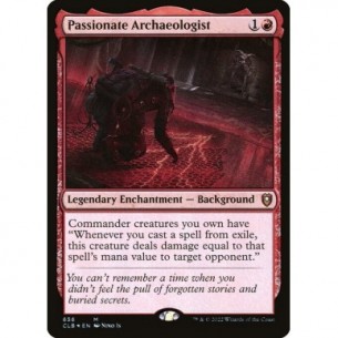 Archeologo Appassionato