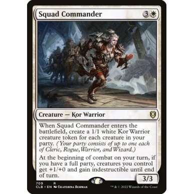 Comandante della Squadra
