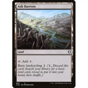 Ash Barrens