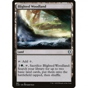 Blighted Woodland