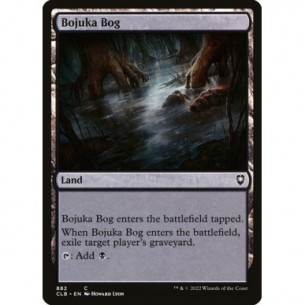 Acquitrino di Bojuka