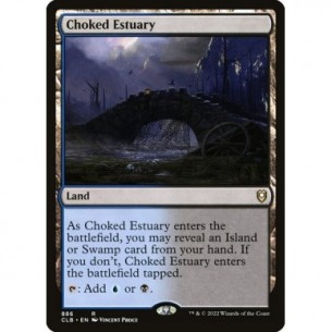 Choked Estuary
