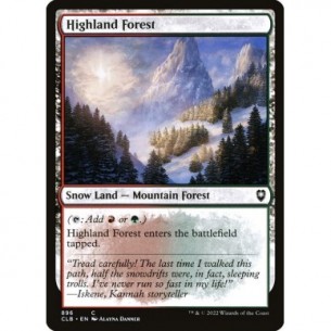 Foresta dell'Altopiano