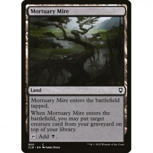 Mortuary Mire