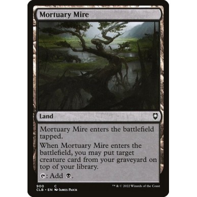 Mortuary Mire