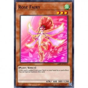 Rose Fairy