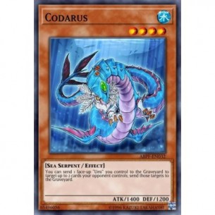 Codarus