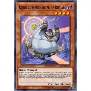 Djinn Cursenchanter of Rituals