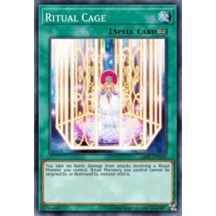 Ritual Cage