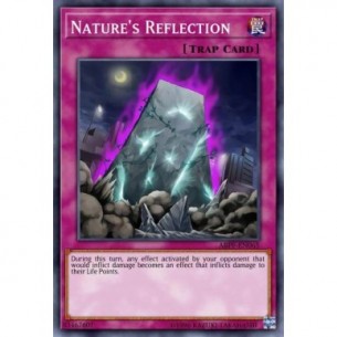Riflesso della Natura