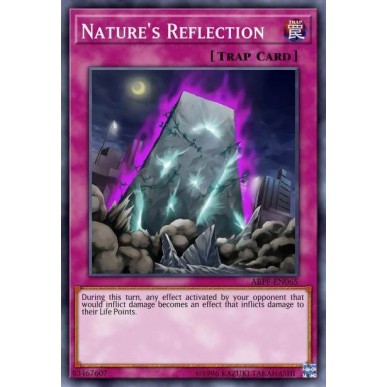 Riflesso della Natura