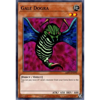 Dogra Burrasca