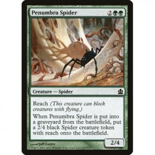 Ragno della Penombra