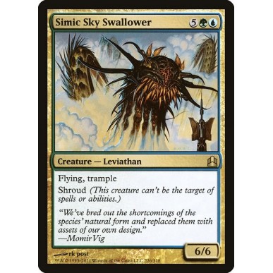 Divora Cieli Simic