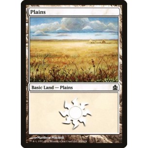 Plains