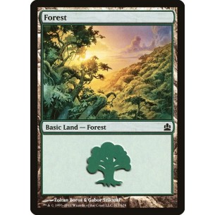Forest