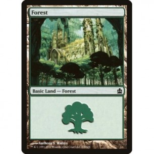 Foresta