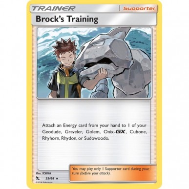 Brock's Training