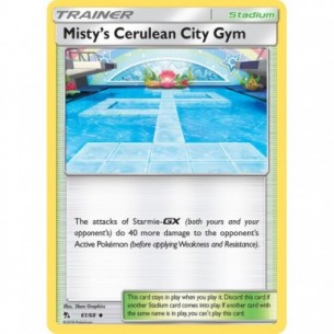 Misty's Cerulean City Gym