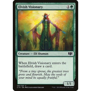 Elfa Visionaria