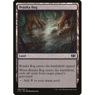 Acquitrino di Bojuka