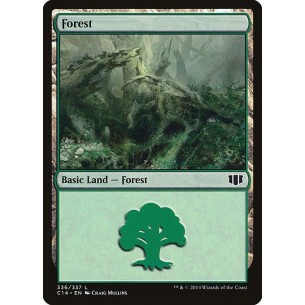 Foresta