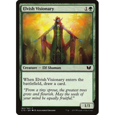Elfa Visionaria