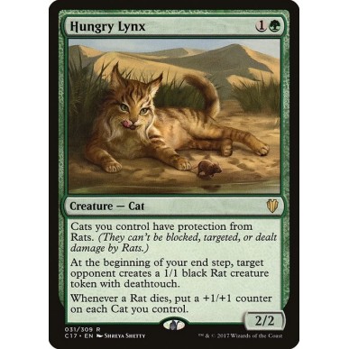 Lince Affamata