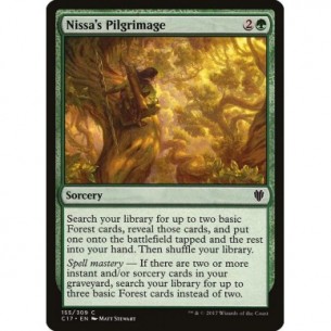Pellegrinaggio di Nissa