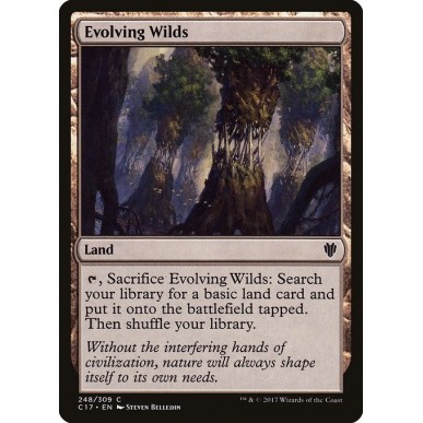 Evolving Wilds